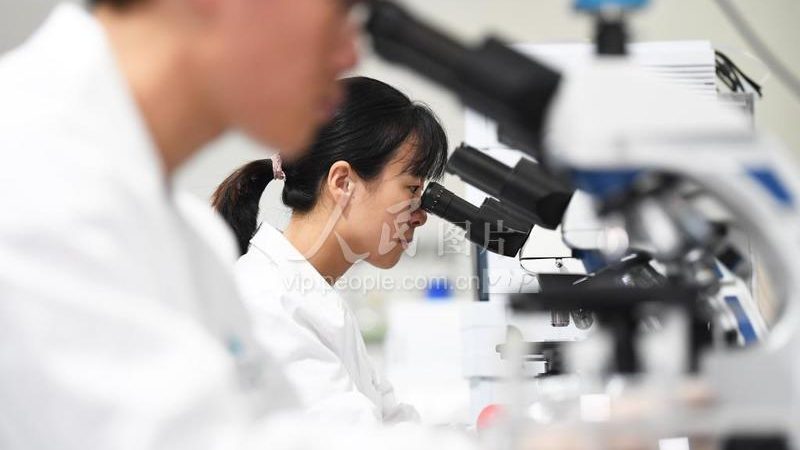 上海分子生物学试剂储存规范：关键要点与误区解析**