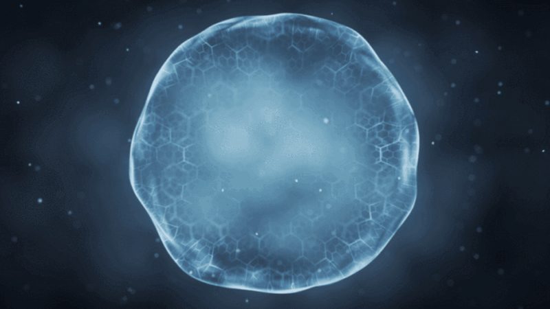 DNA连接酶：生命科学研究的“粘合剂”**