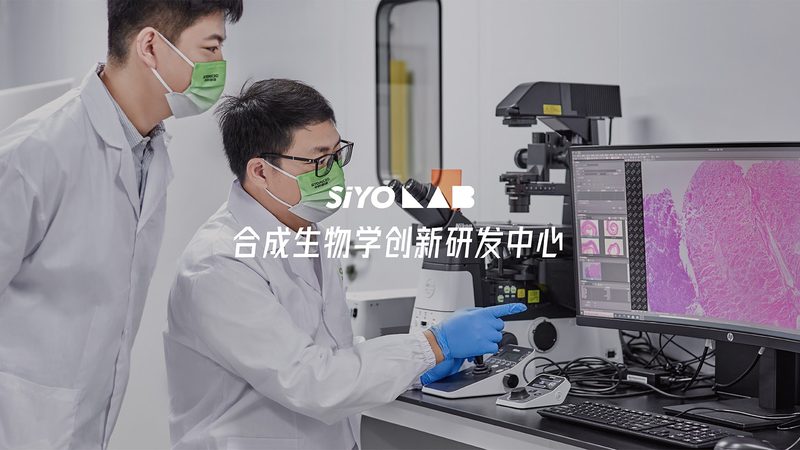生物科技定制样品测试流程：揭秘精准研发的关键步骤