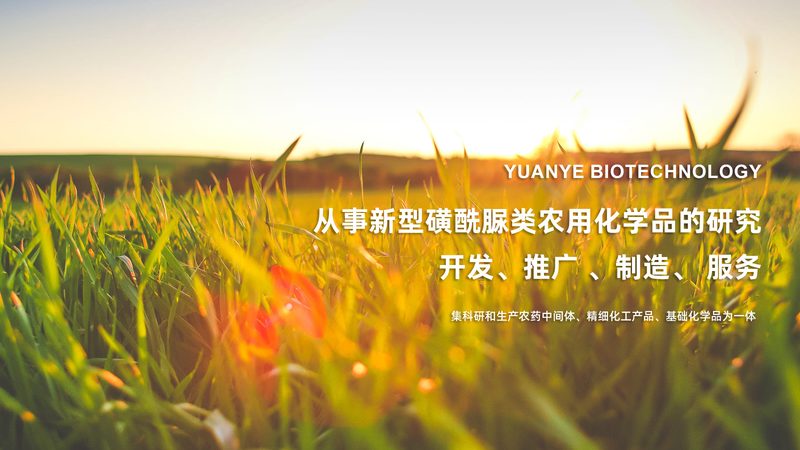 实验室耗材：优缺点对比解析