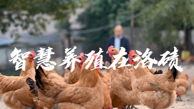 PCR管与离心管：两种实验工具的异同解析