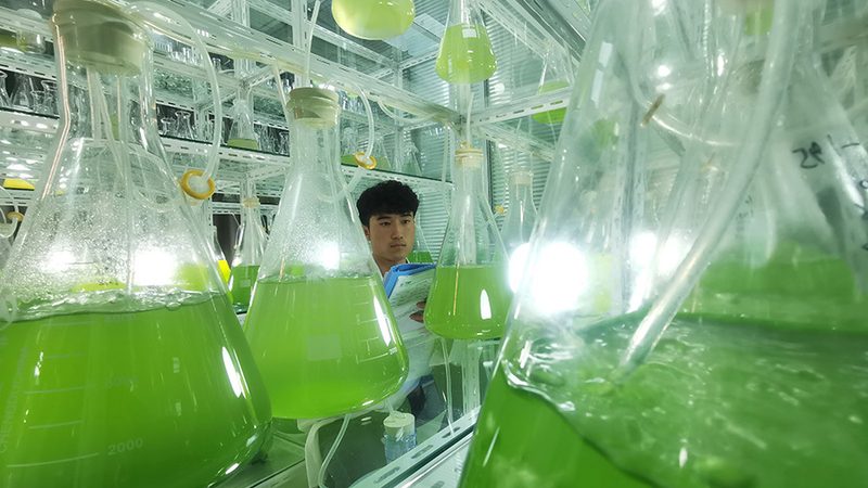 无血清培养基定制，揭秘其背后的科学流程**